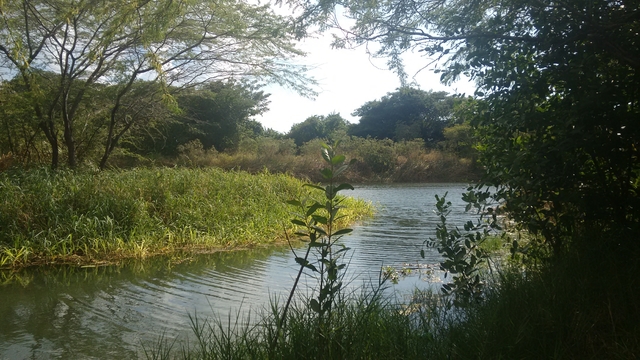 Mineral Bath In Milk River Clarendon Jamaica